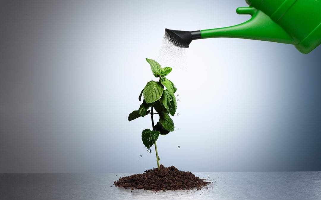 How the Best Managers Identify and Develop Talent | Harvard Business Review